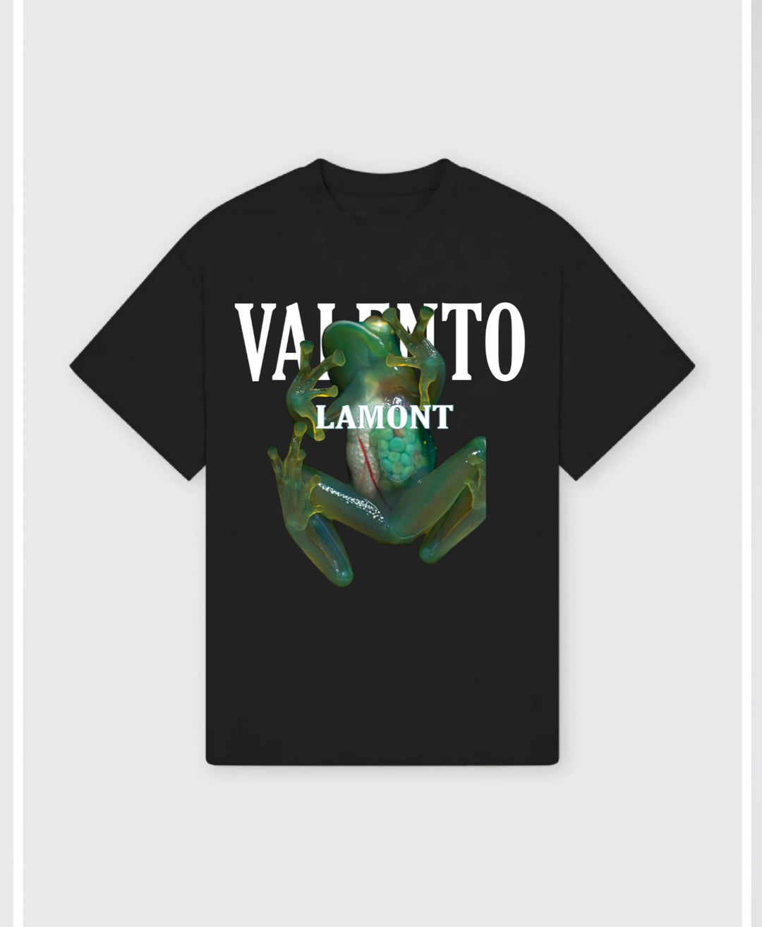 Organic Unisex Classic T-Shirt