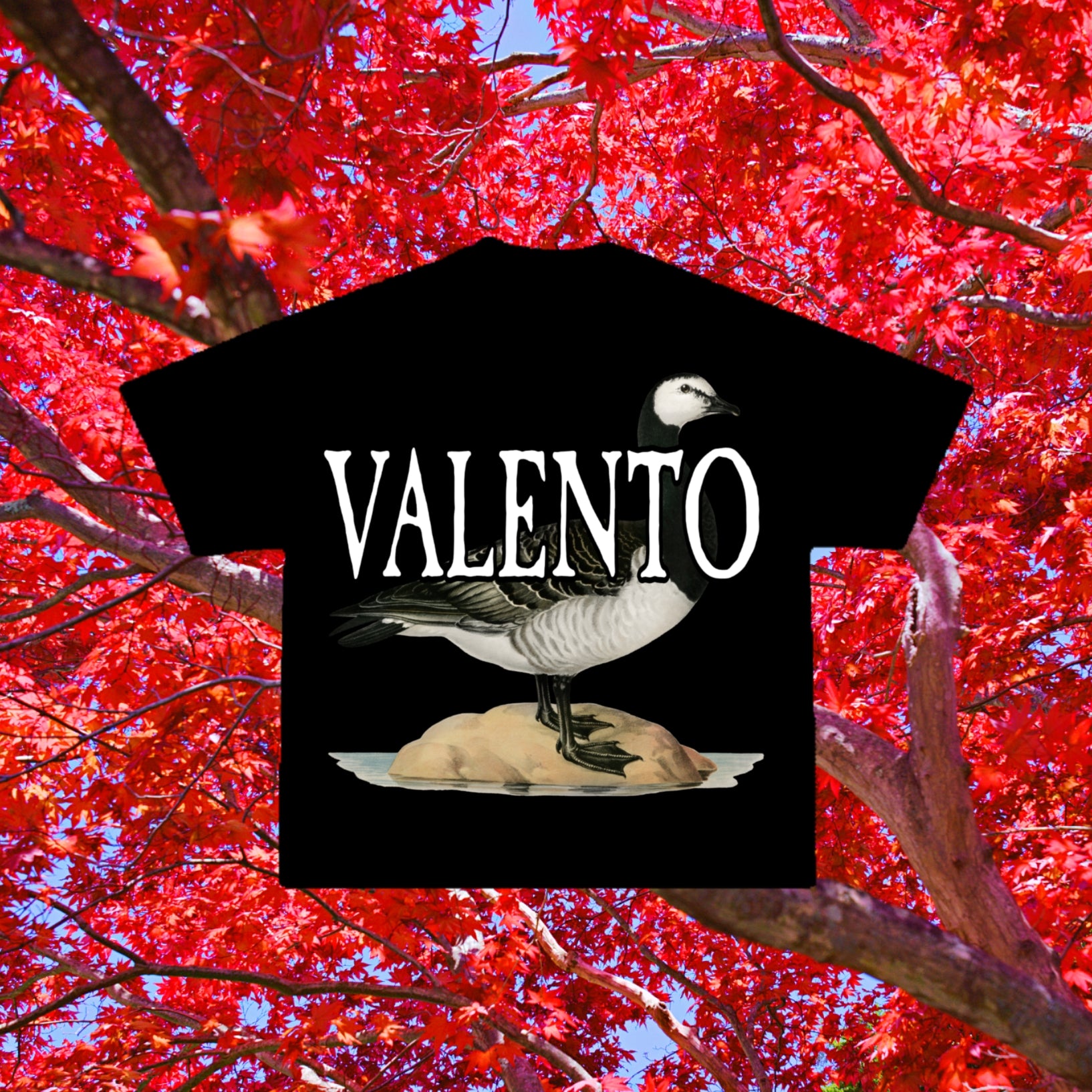 VALENTO  Men's Premium Heavyweight Tee