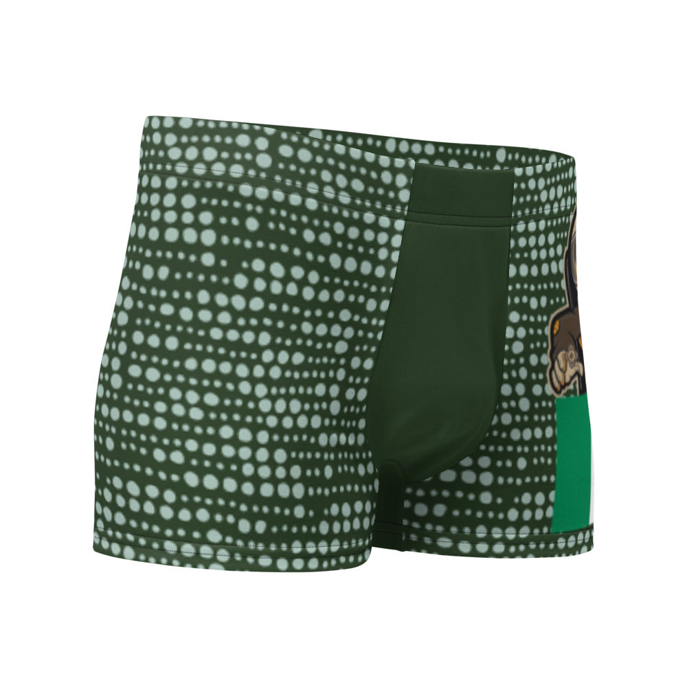 Boxer Briefs