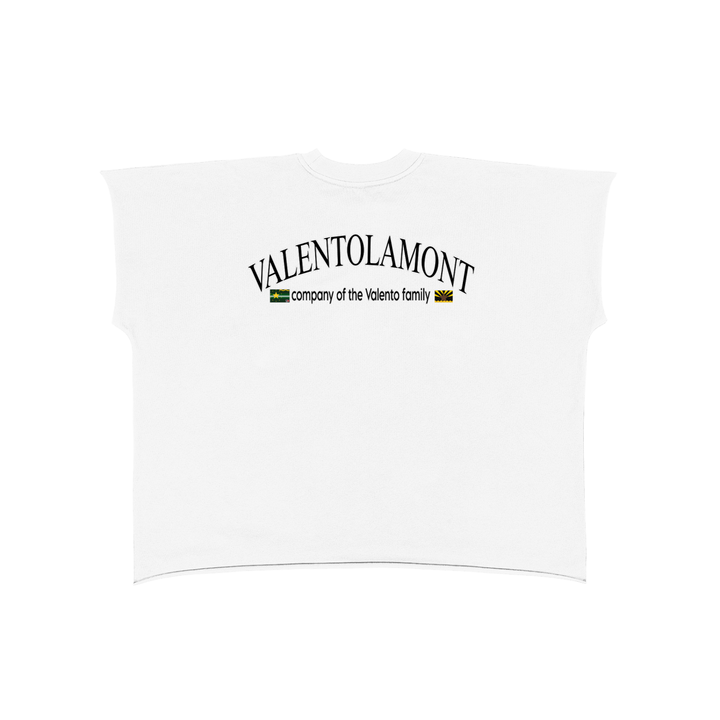 Raw Edge Boxy Non-Shrink T-Shirt