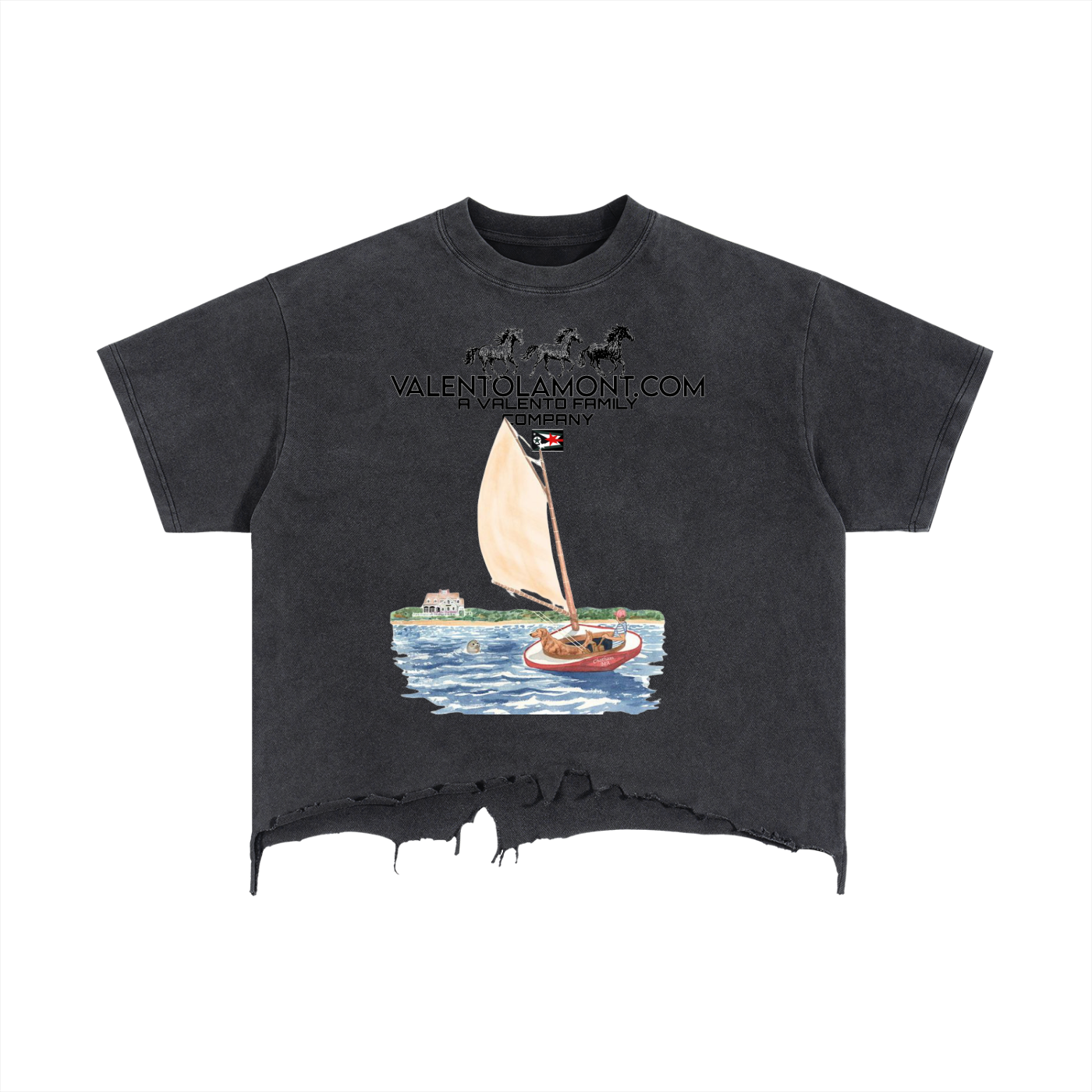 Vintage Wash Boxy Distressed Hem T-Shirt