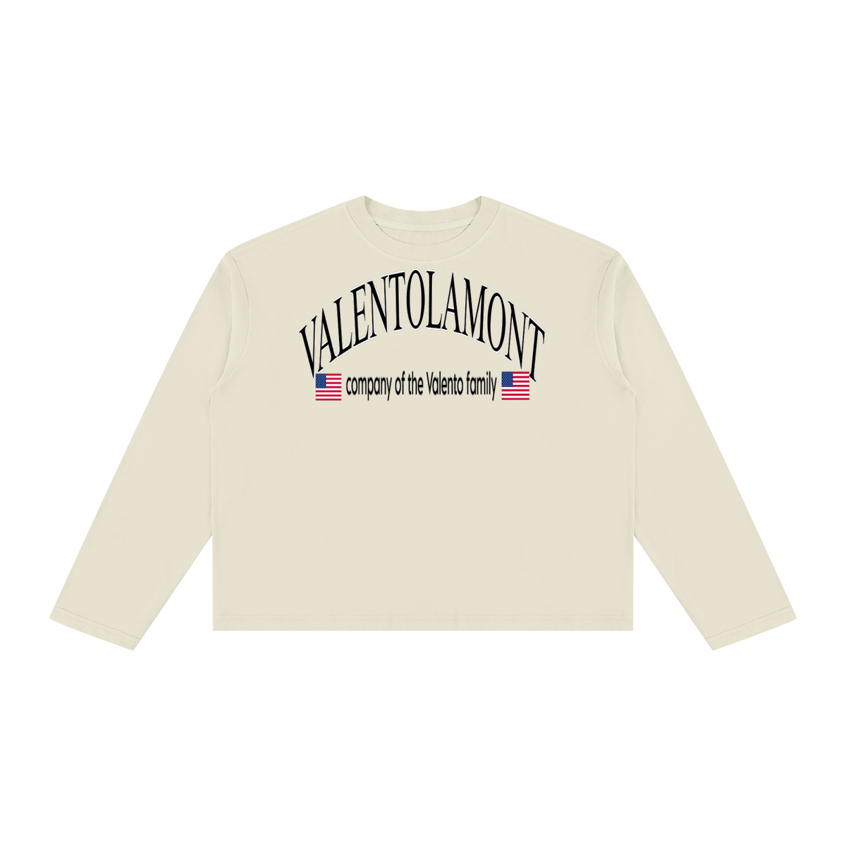 V Vintage Wash Long Sleeve Boxy T-Shirt