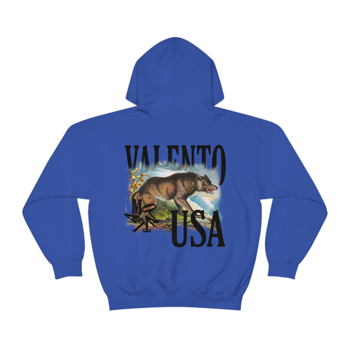 Unisex Heavy Blend™ Hooded Sweatshirt