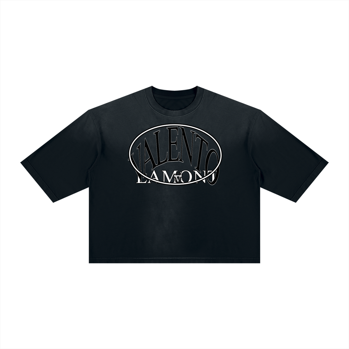 V Vintage Wash Sunfade Boxy T-Shirt