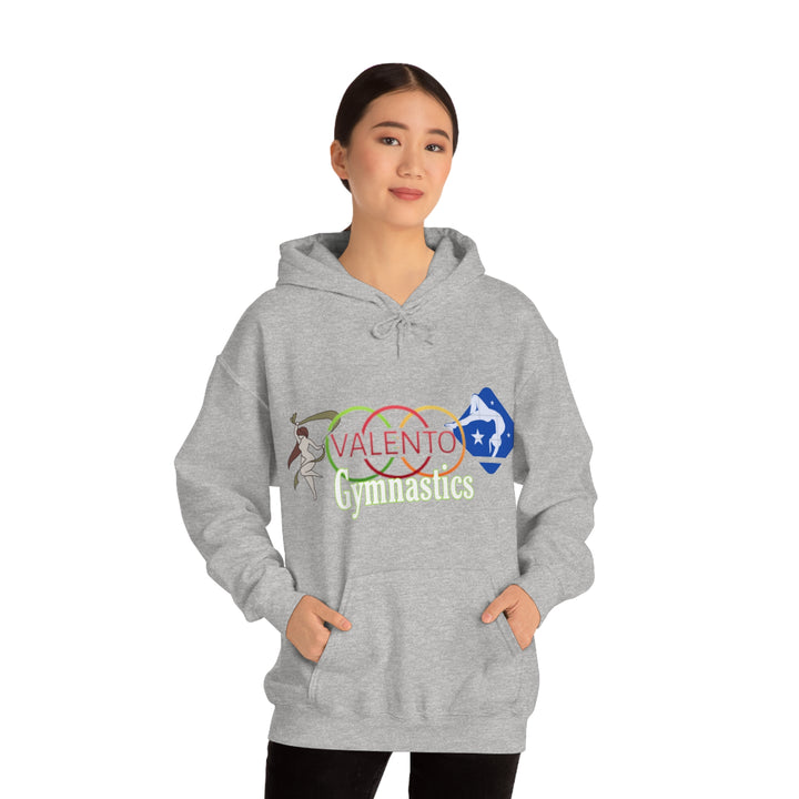 VALETNO university HOODIE