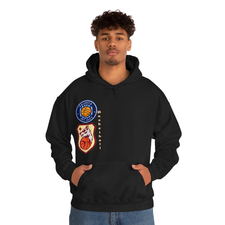 VALETNO university HOODIE