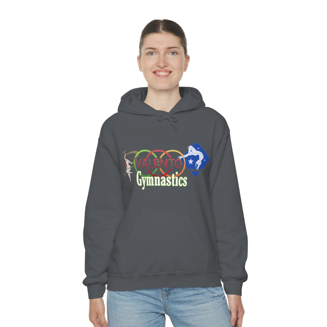 VALETNO university HOODIE