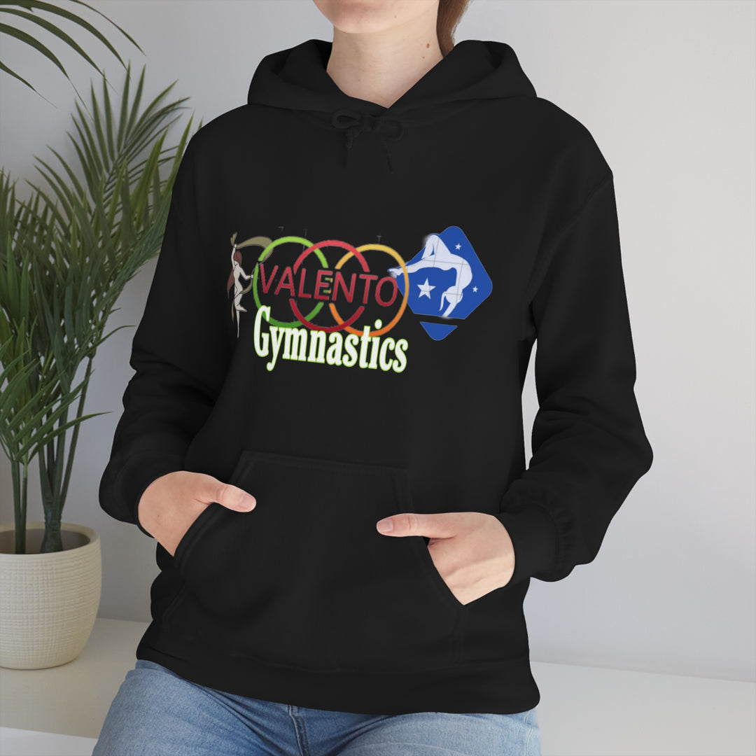 VALETNO university HOODIE