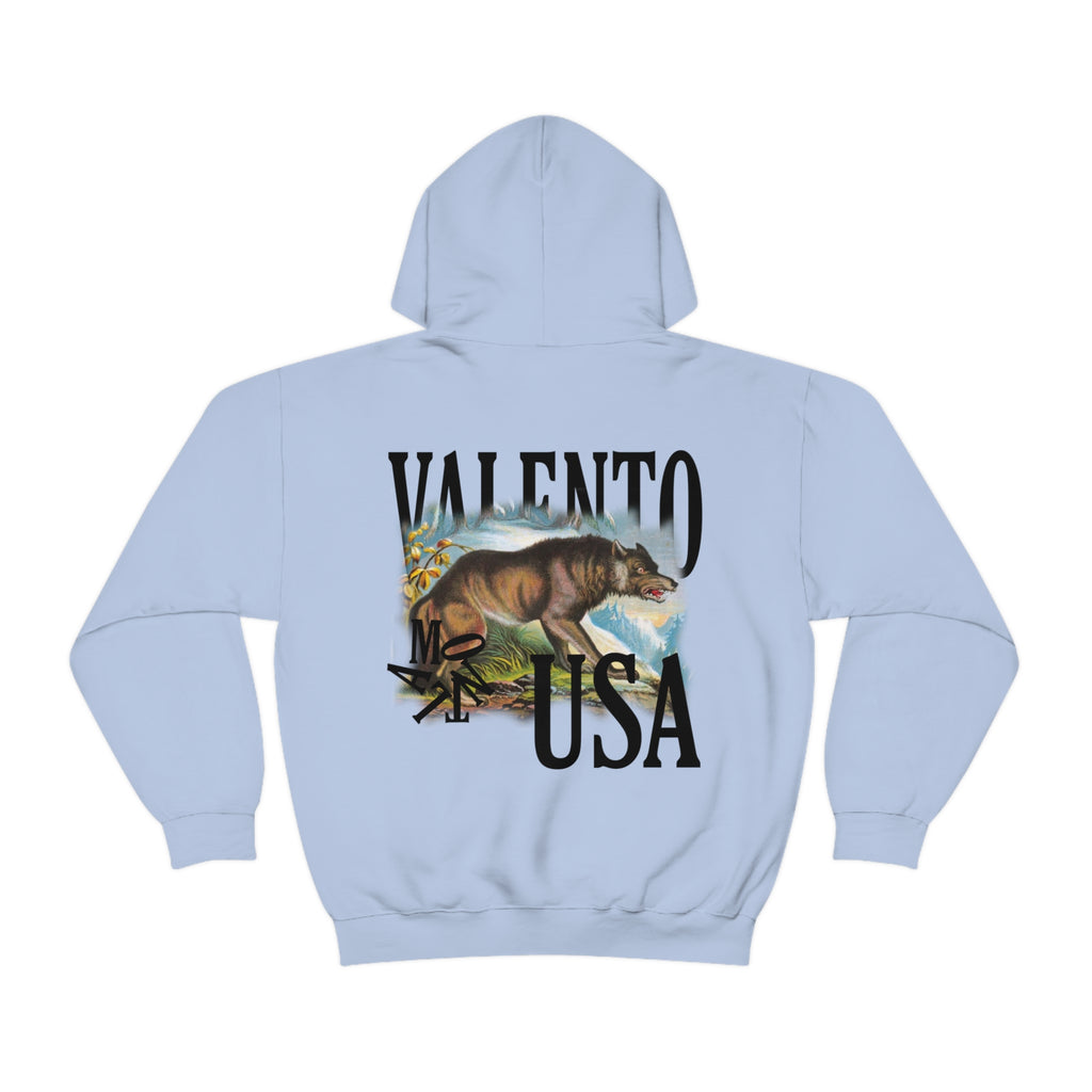 Unisex Heavy Blend™ Hooded Sweatshirt