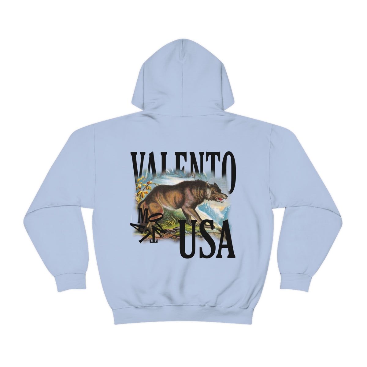 Unisex Heavy Blend™ Hooded Sweatshirt
