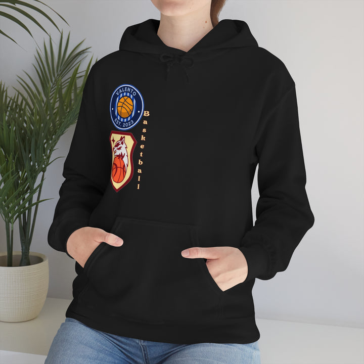 VALETNO university HOODIE