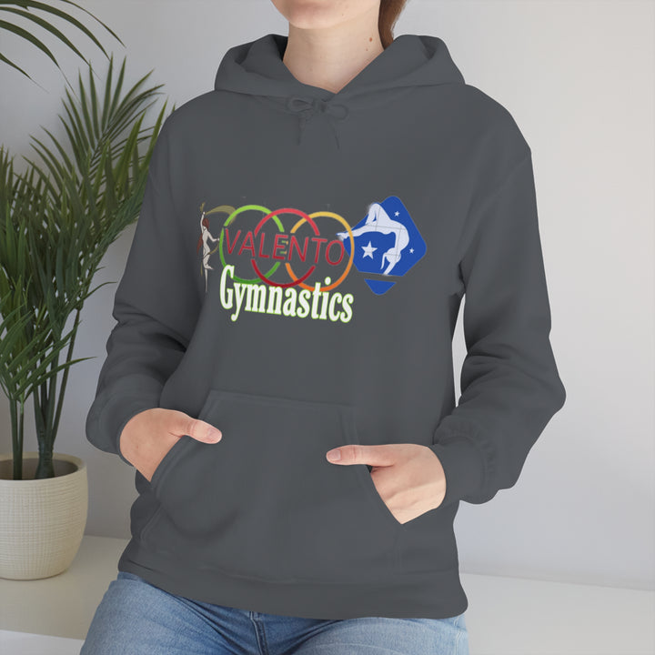 VALETNO university HOODIE