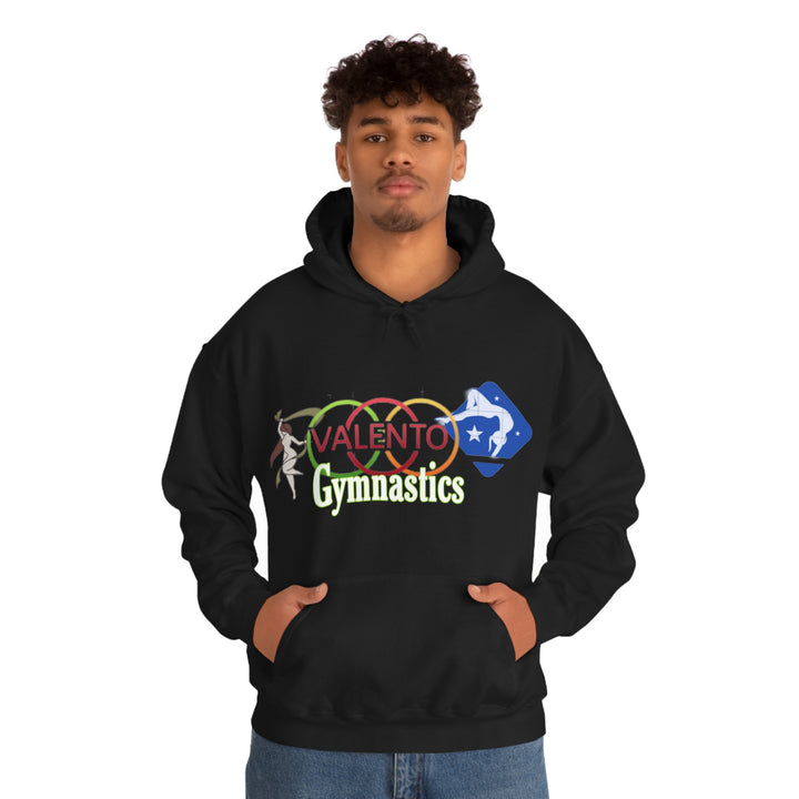 VALETNO university HOODIE