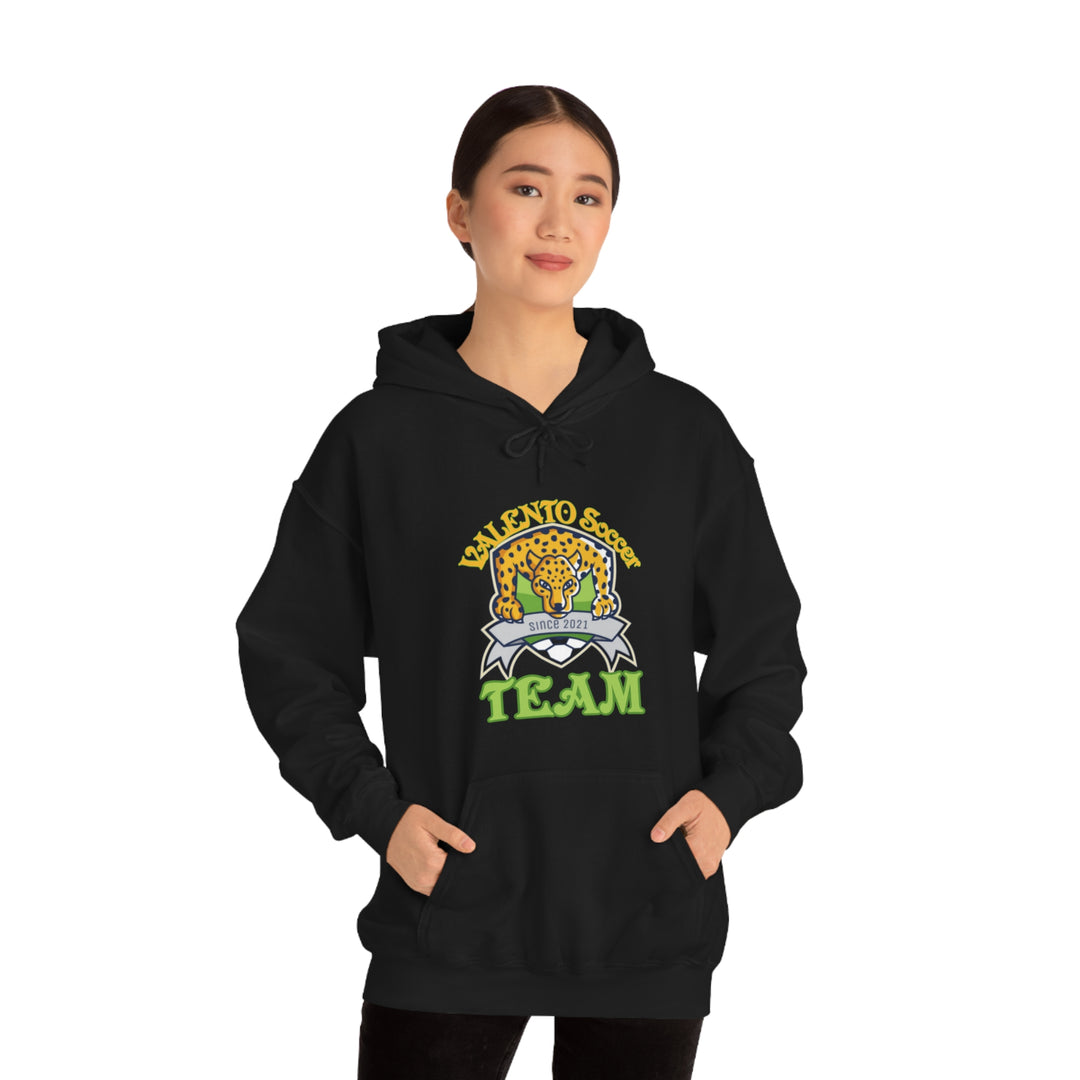 VALETNO university HOODIE