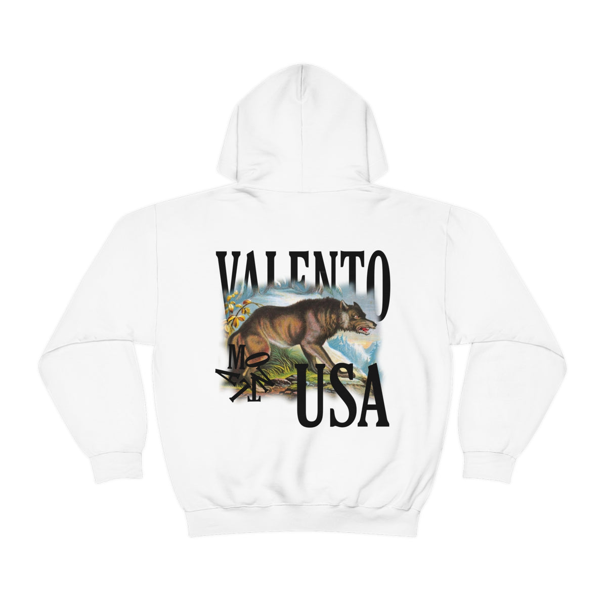 Unisex Heavy Blend™ Hooded Sweatshirt