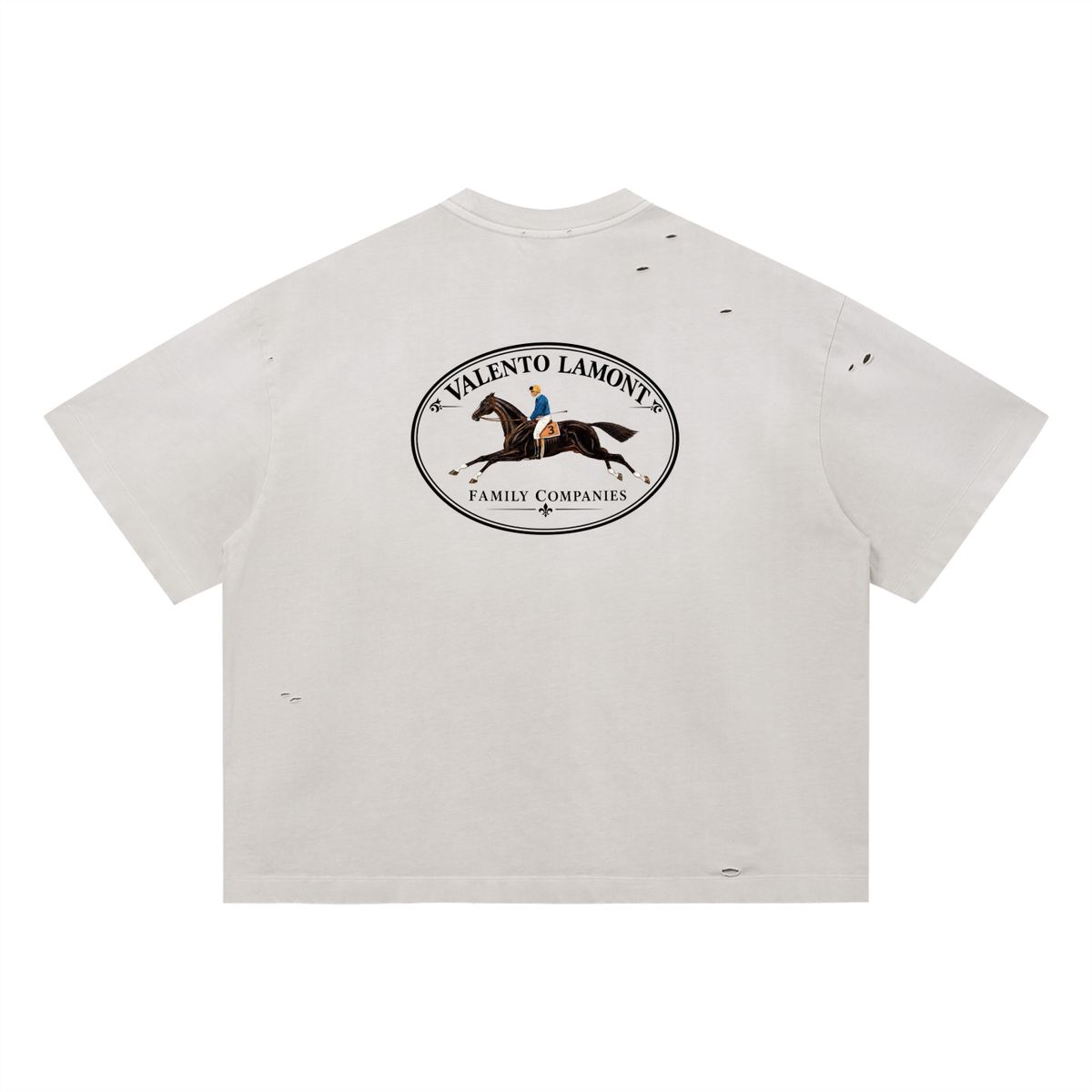 Vintage Washed Distressed Boxy Oversized T-Shirt