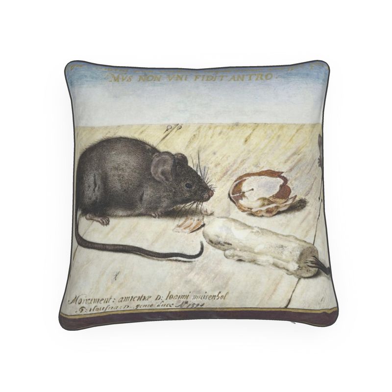 Cushions