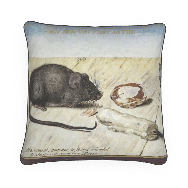 Cushions