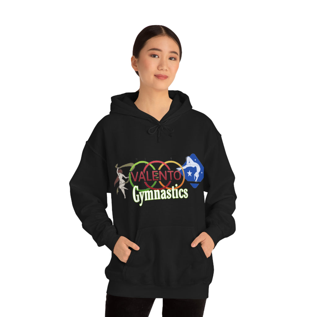 VALETNO university HOODIE