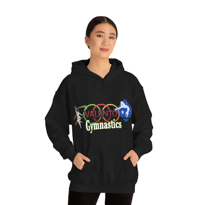 VALETNO university HOODIE