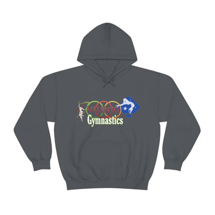 VALETNO university HOODIE