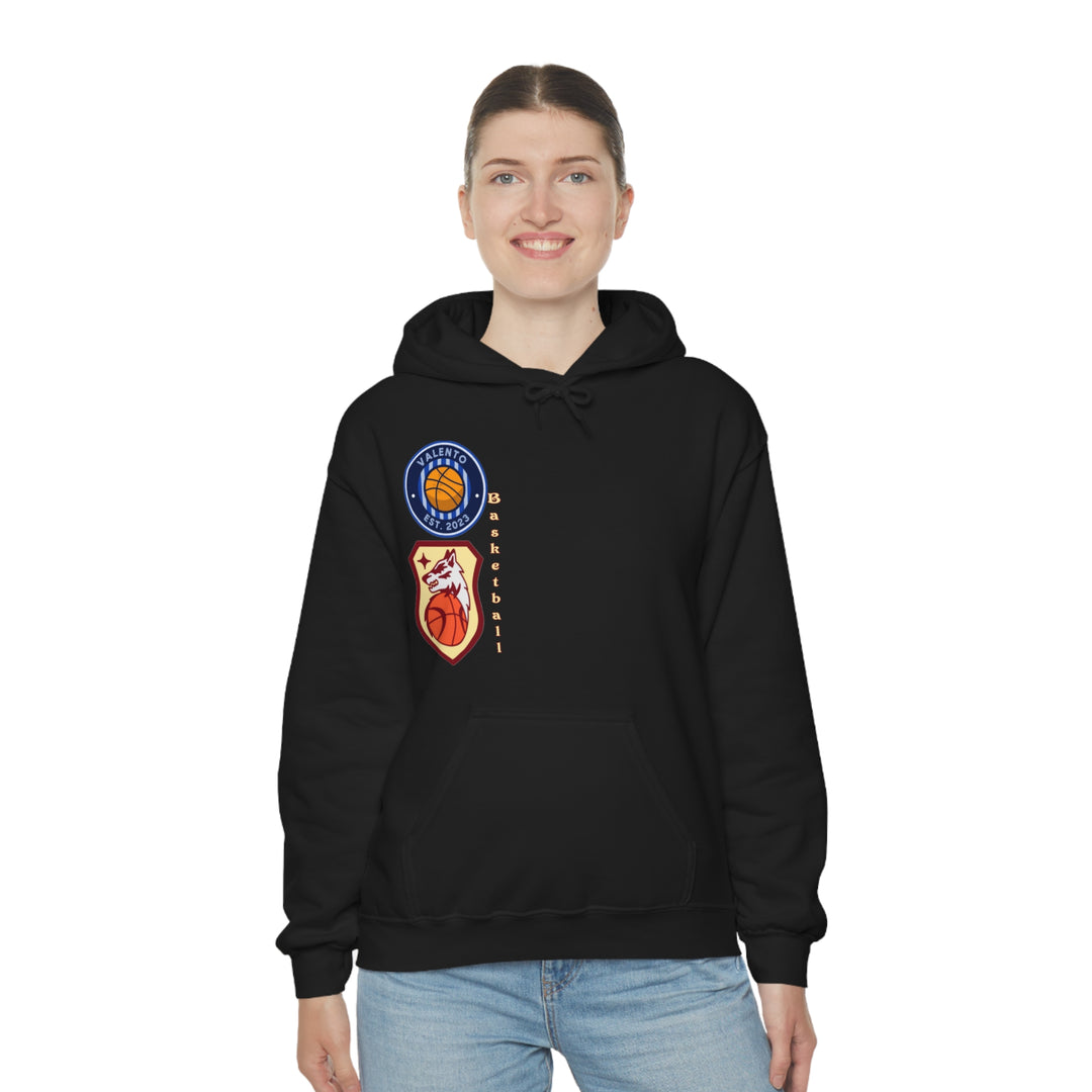 VALETNO university HOODIE