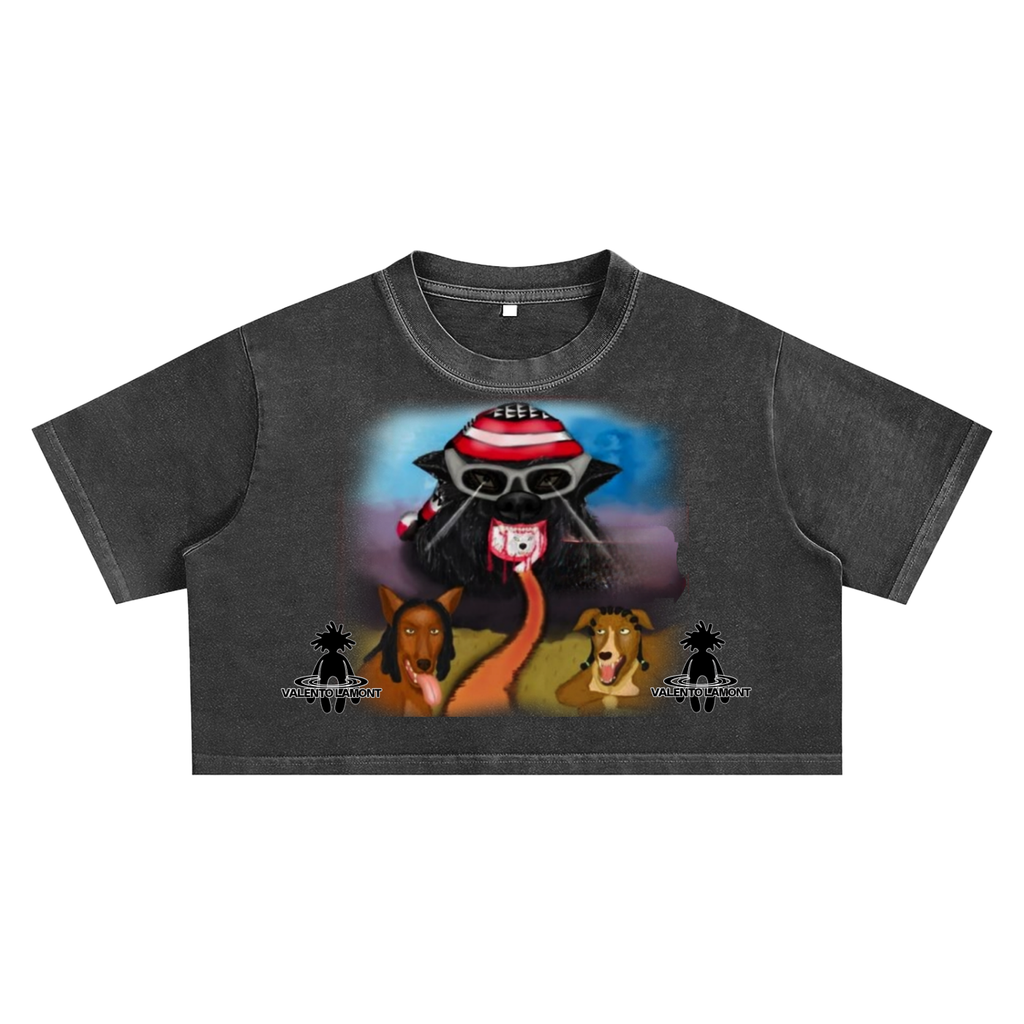 Snow Washed Crop Top