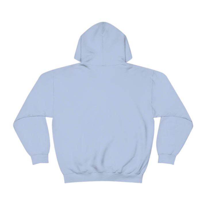 VALETNO university HOODIE