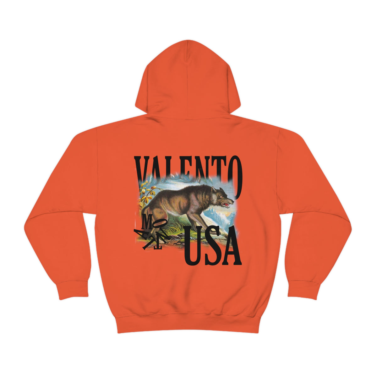 Unisex Heavy Blend™ Hooded Sweatshirt