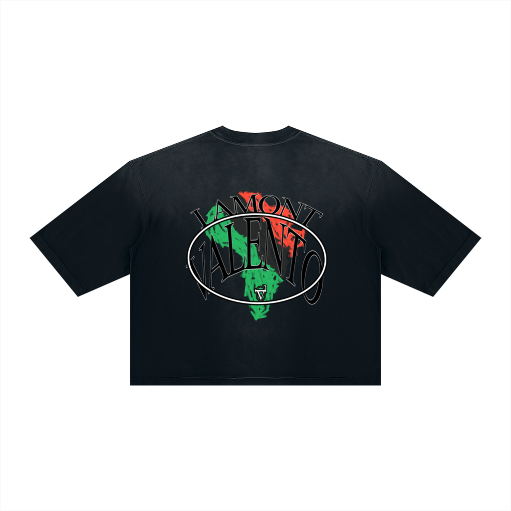 V Vintage Wash Sunfade Boxy T-Shirt