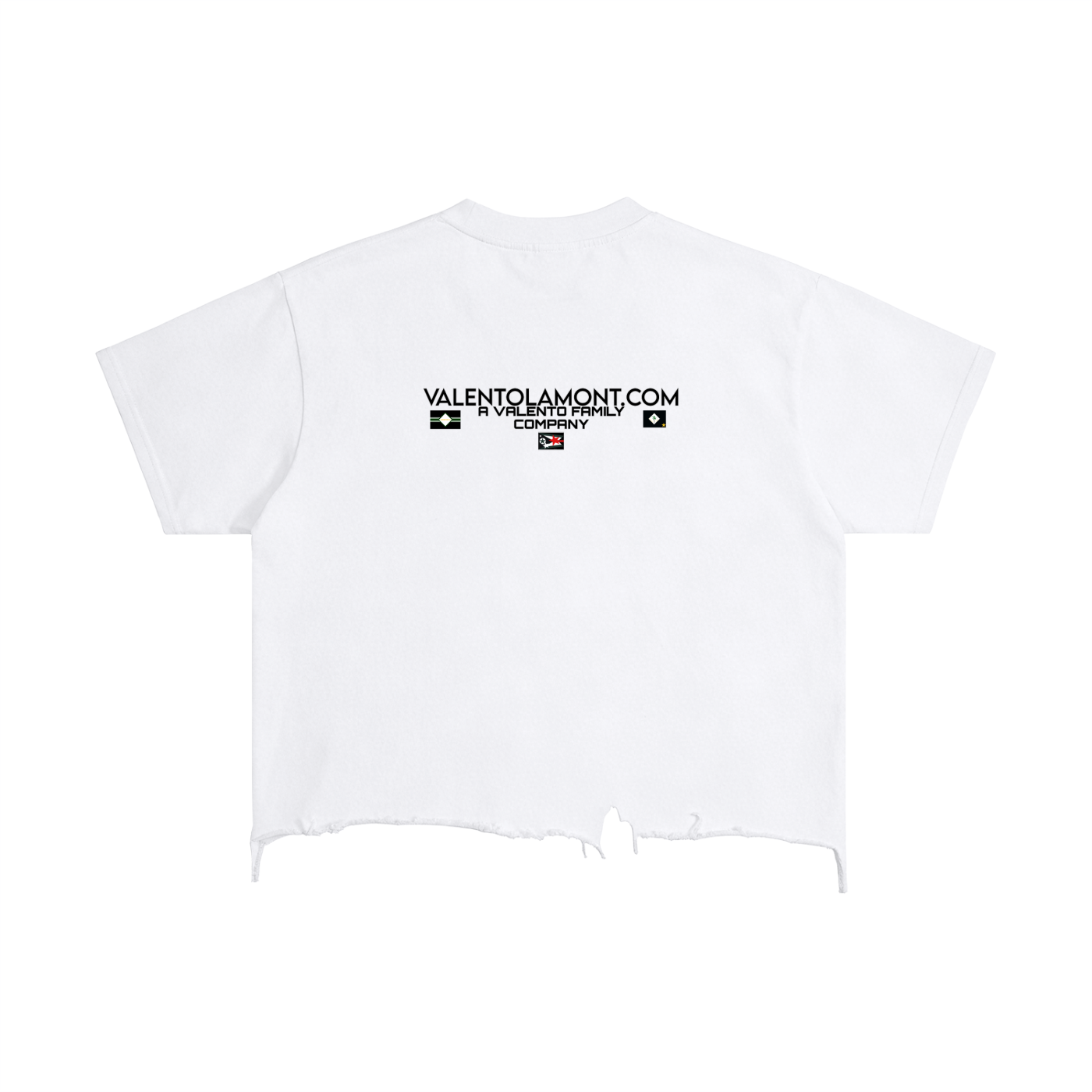 Vintage Wash Boxy Distressed Hem T-Shirt