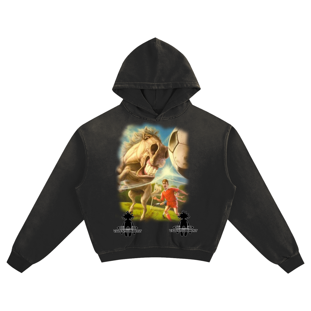 Sunfade Boxy Hoodie