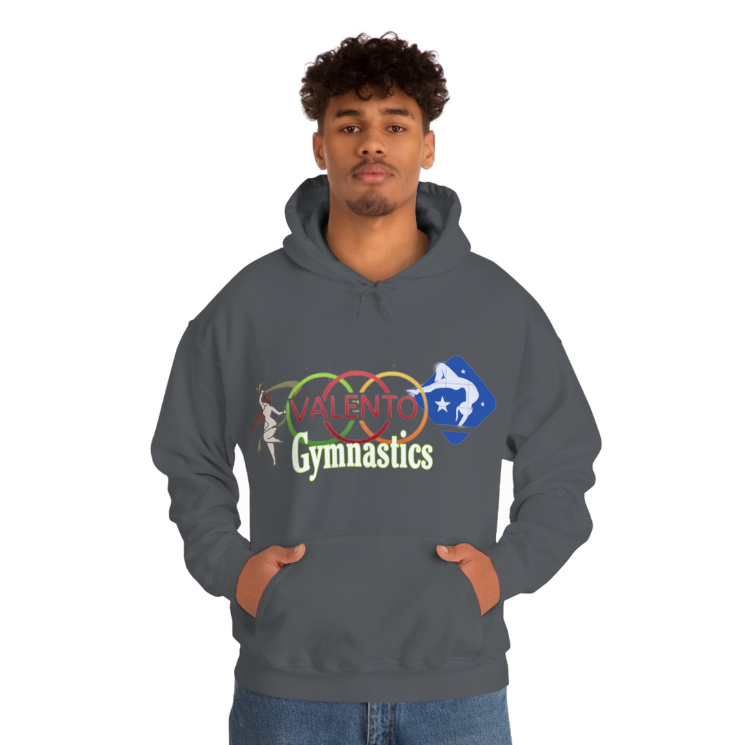 VALETNO university HOODIE