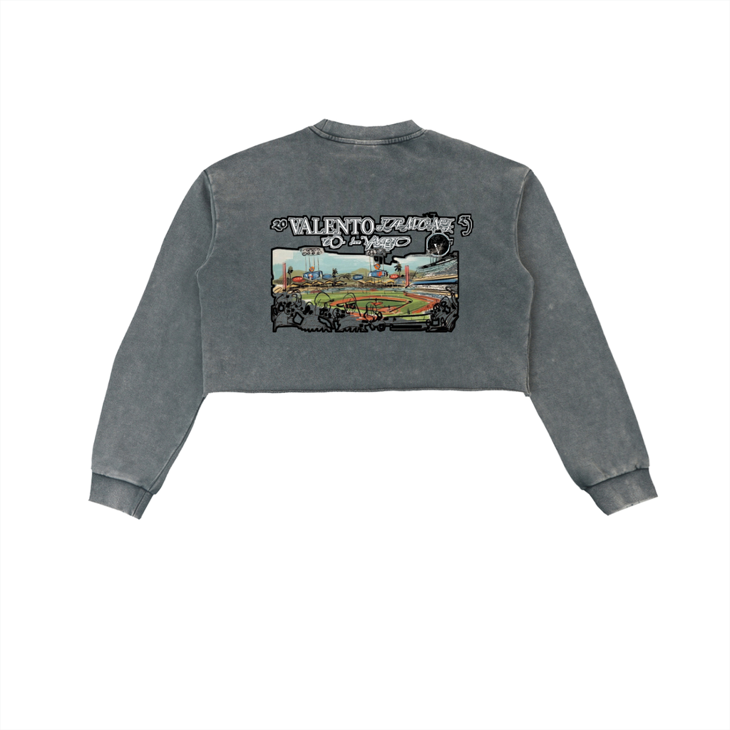 Snow Washed Raw Edge Cropped Sweatshirt