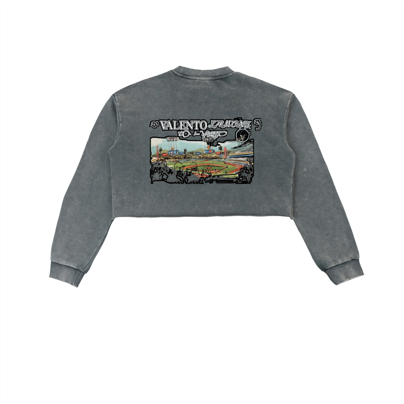 Snow Washed Raw Edge Cropped Sweatshirt
