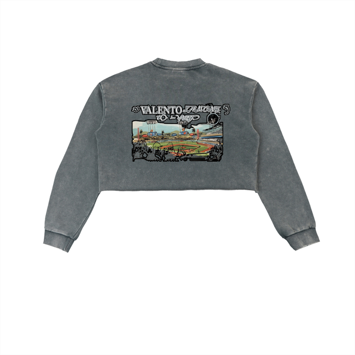 Snow Washed Raw Edge Cropped Sweatshirt