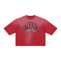V Vintage Wash Sunfade Boxy T-Shirt
