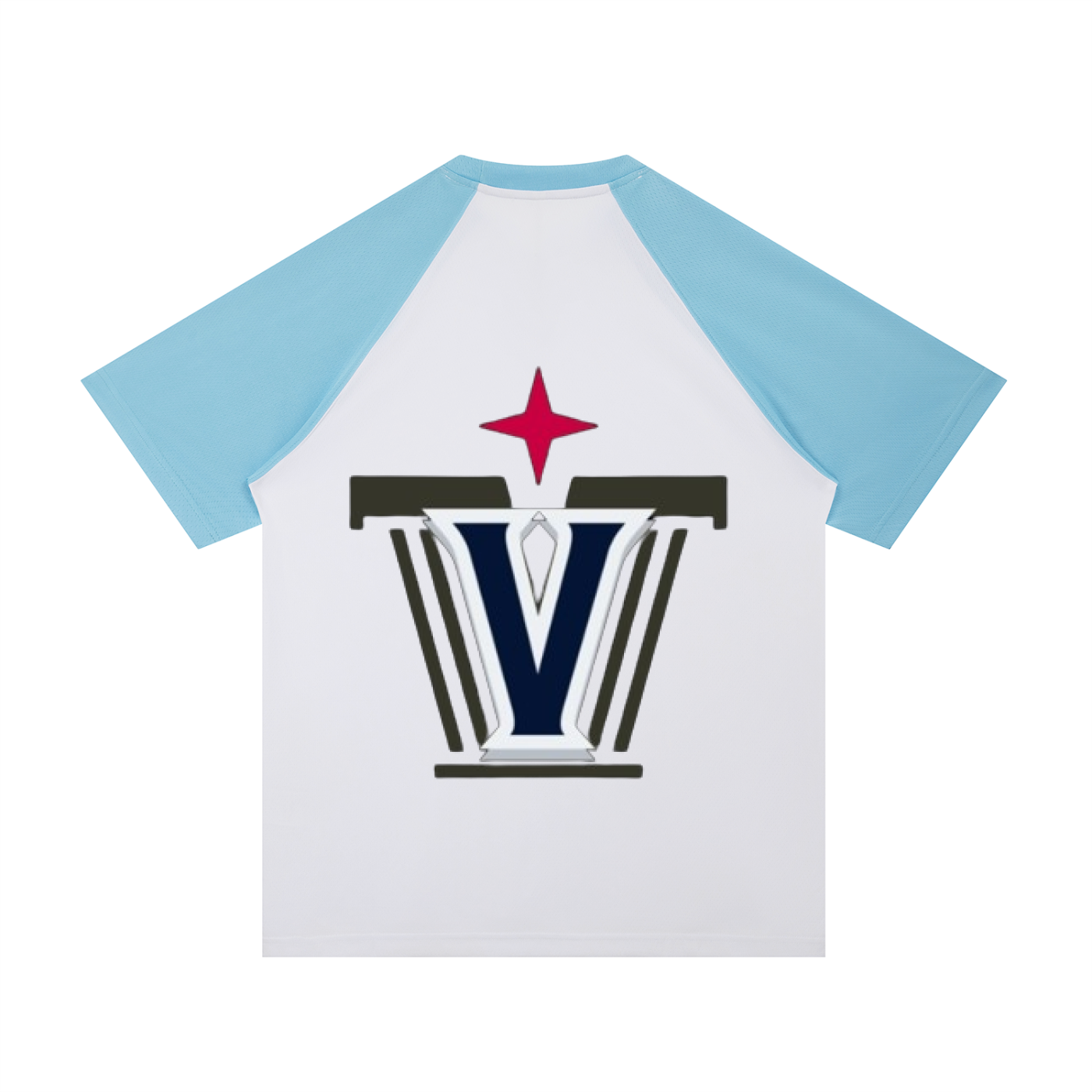 Contrast Raglan Sleeve Mesh T-Shirt