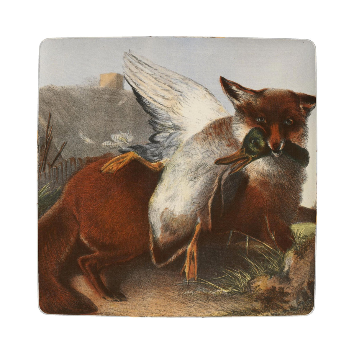 Footstool (Round, Square, Hexagonal)