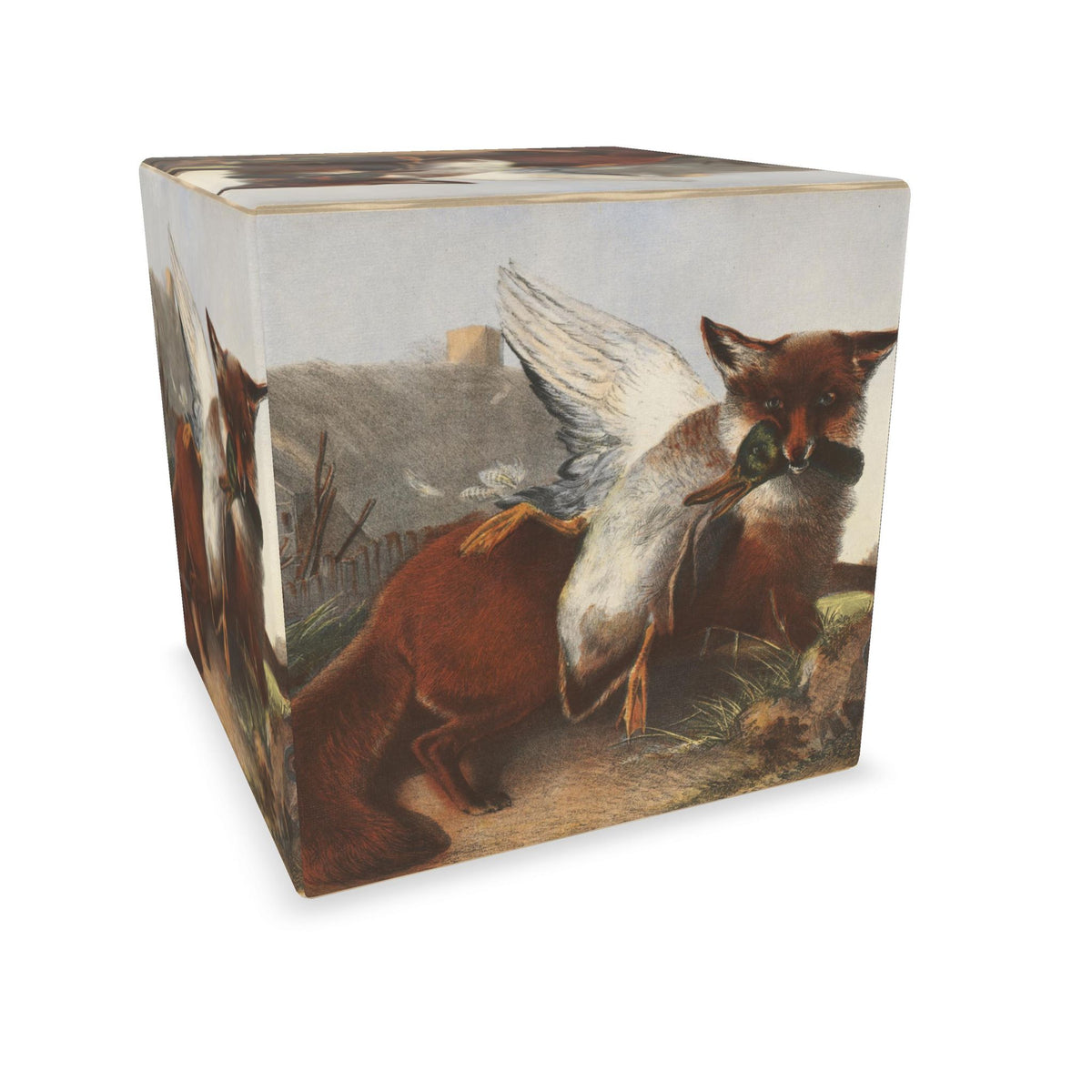Cube
