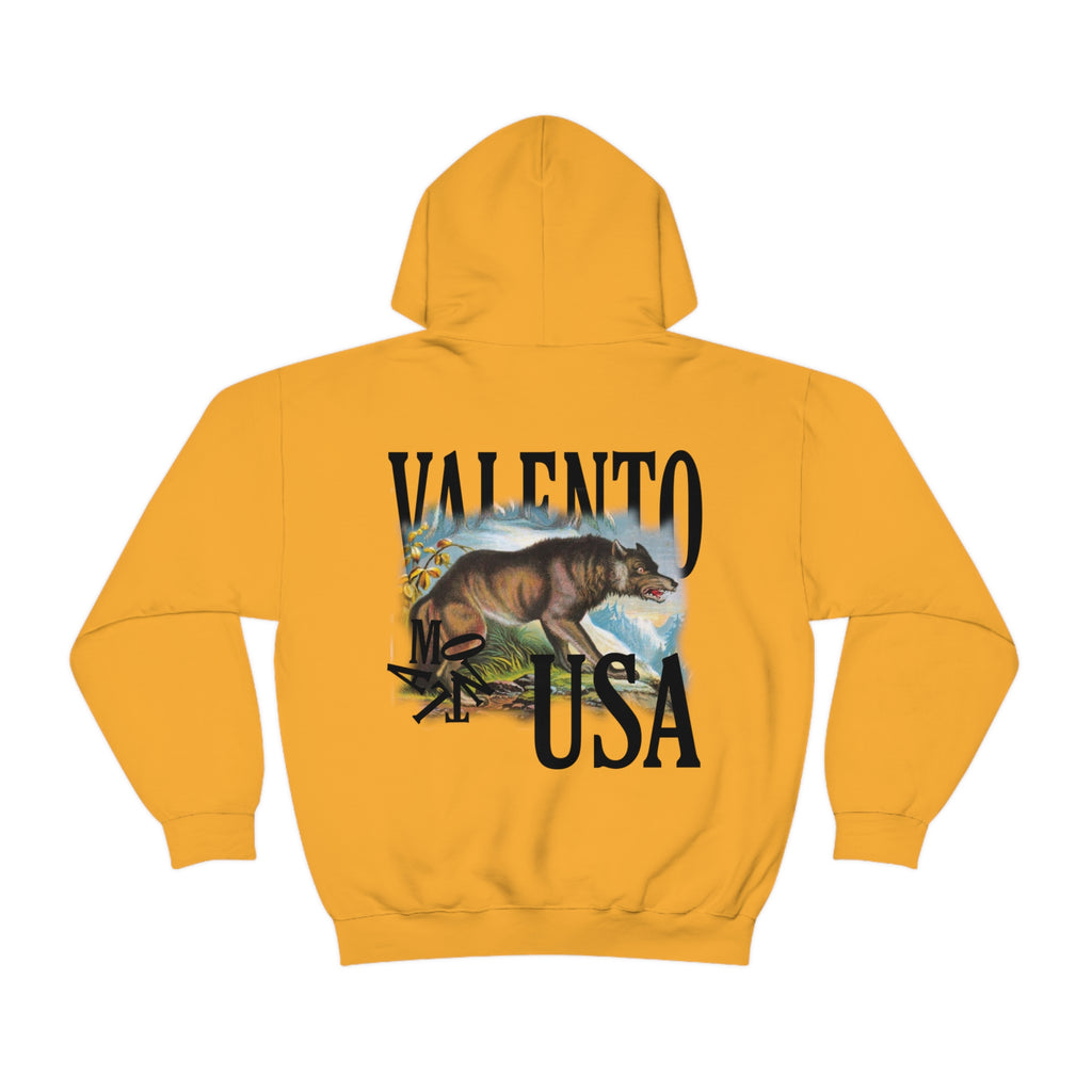 Unisex Heavy Blend™ Hooded Sweatshirt