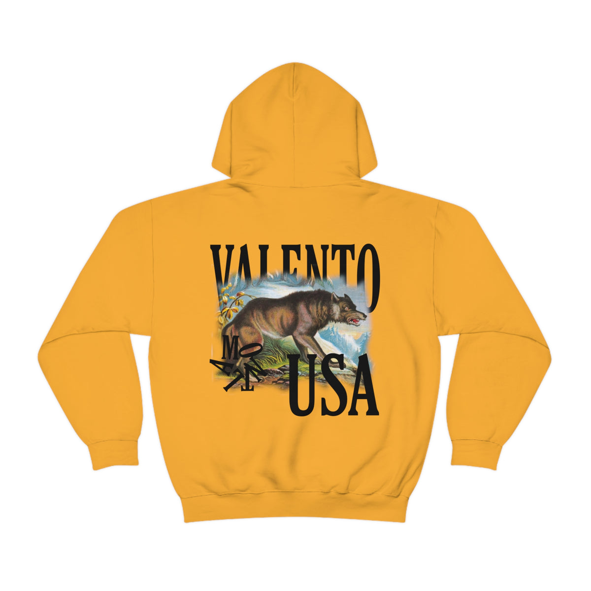 Unisex Heavy Blend™ Hooded Sweatshirt