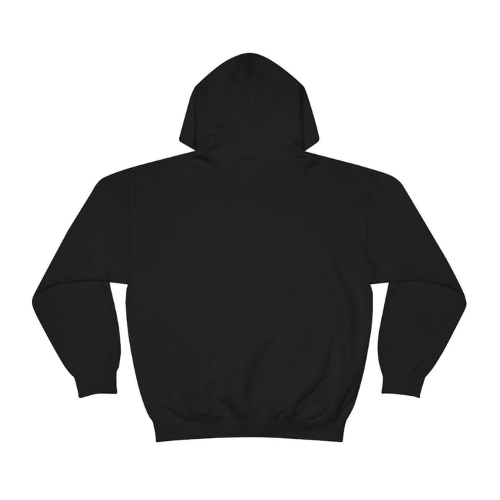 VALETNO university HOODIE