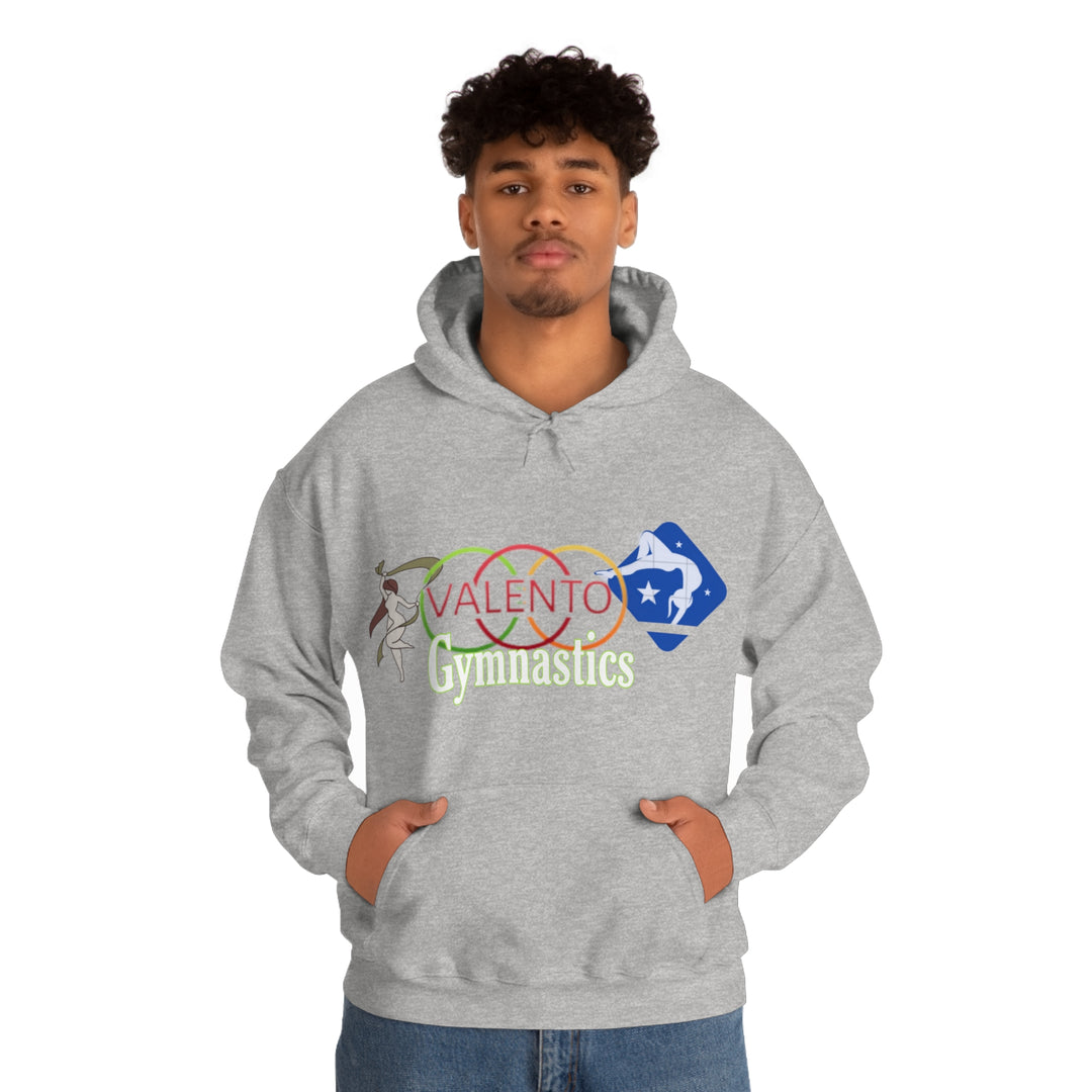 VALETNO university HOODIE