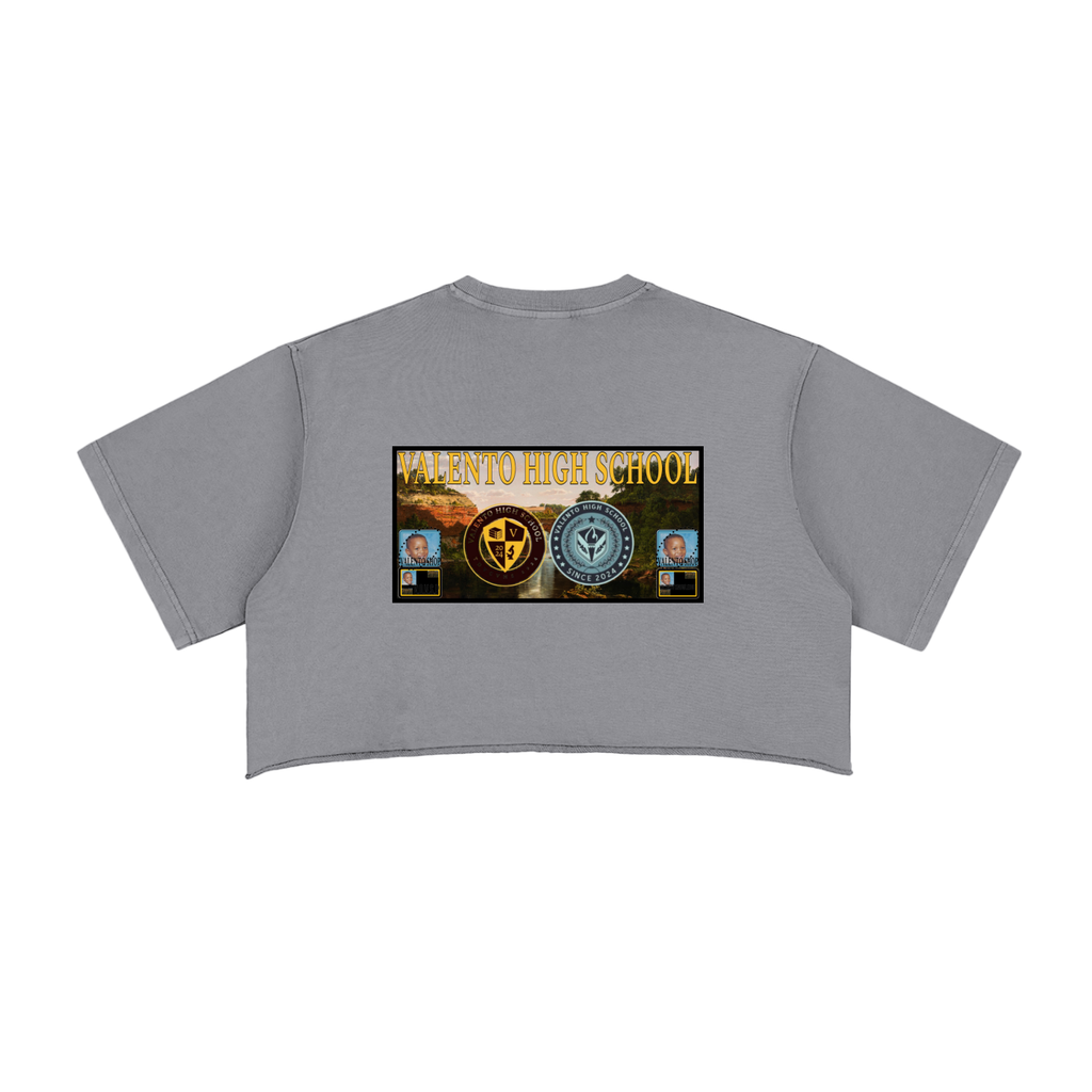 Snow Washed Raw Edge Crop Top