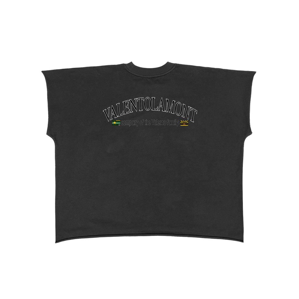 Raw Edge Boxy Non-Shrink T-Shirt