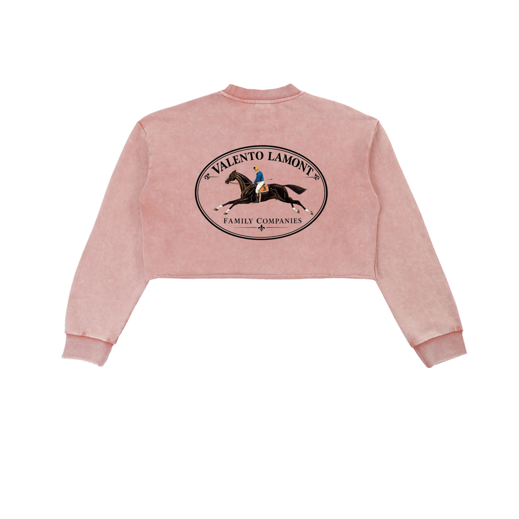 Snow Washed Raw Edge Cropped Sweatshirt