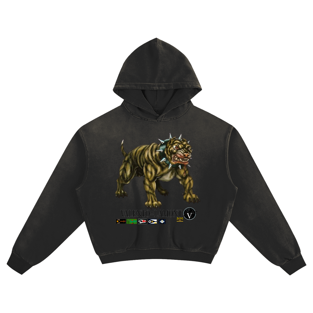 Sunfade Boxy Hoodie