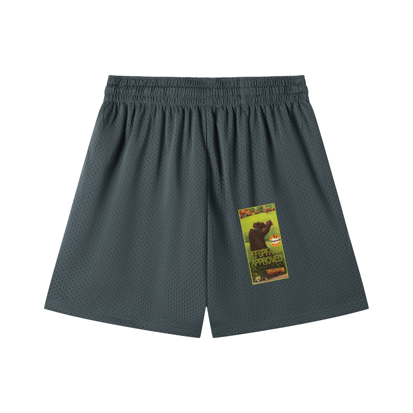 Mesh Drawstring Shorts