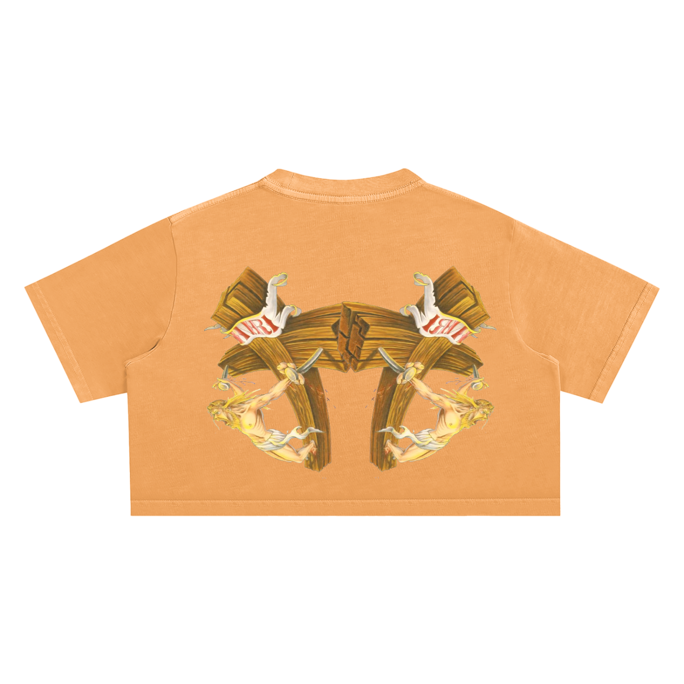 Snow Washed Crop Top